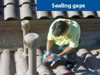 Protect Your Home With Our Desert Guard Program Today pest control tech inspecting and sealing entry points in tucson homes roof