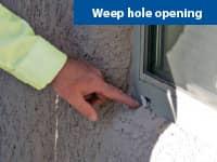 Desert Guard Protects Your Home Against A Number Of Pests up close look at a wasp hole in a phoenix az window frame