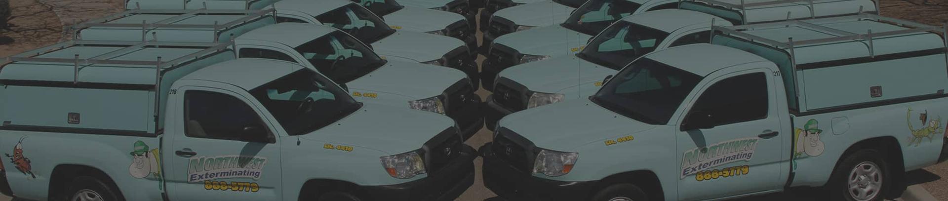 Professional Termite Control Services In Arizona termite pest control service vehicles outside arizona office