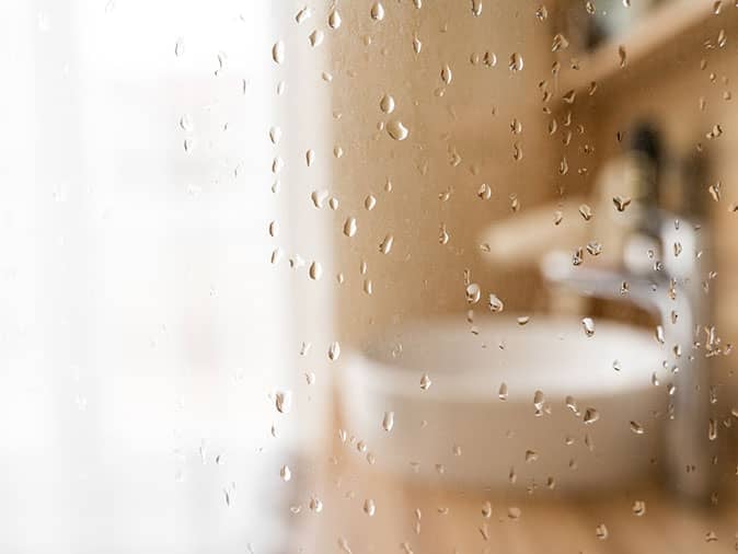 moisture in bathrooms attract termites in southern arizona