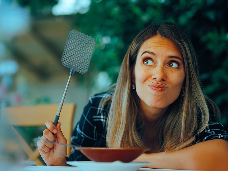 phoenix resident battling june pests