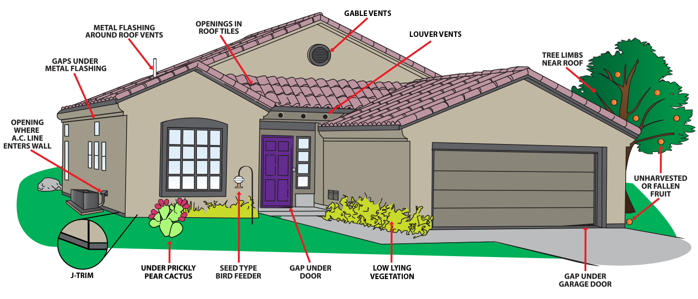 Learn More About Protecting Your Home With Desert Guard desert guard home protection graphic