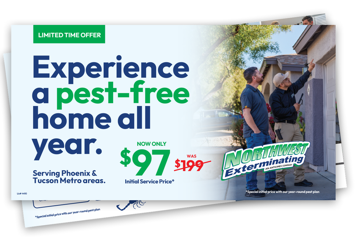 special offer from northwest exterminating
